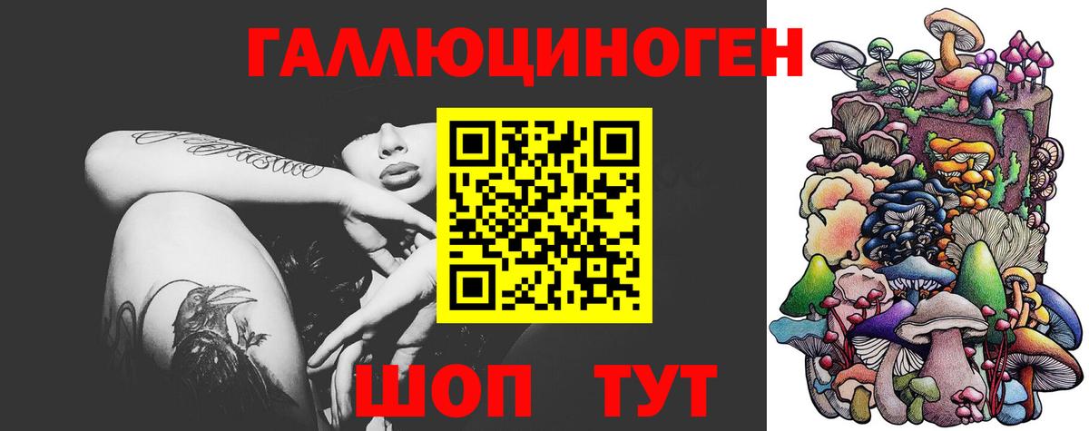 Гулькевичи  Псилоцибиновые грибы Psilocybe  Вход с VPN 