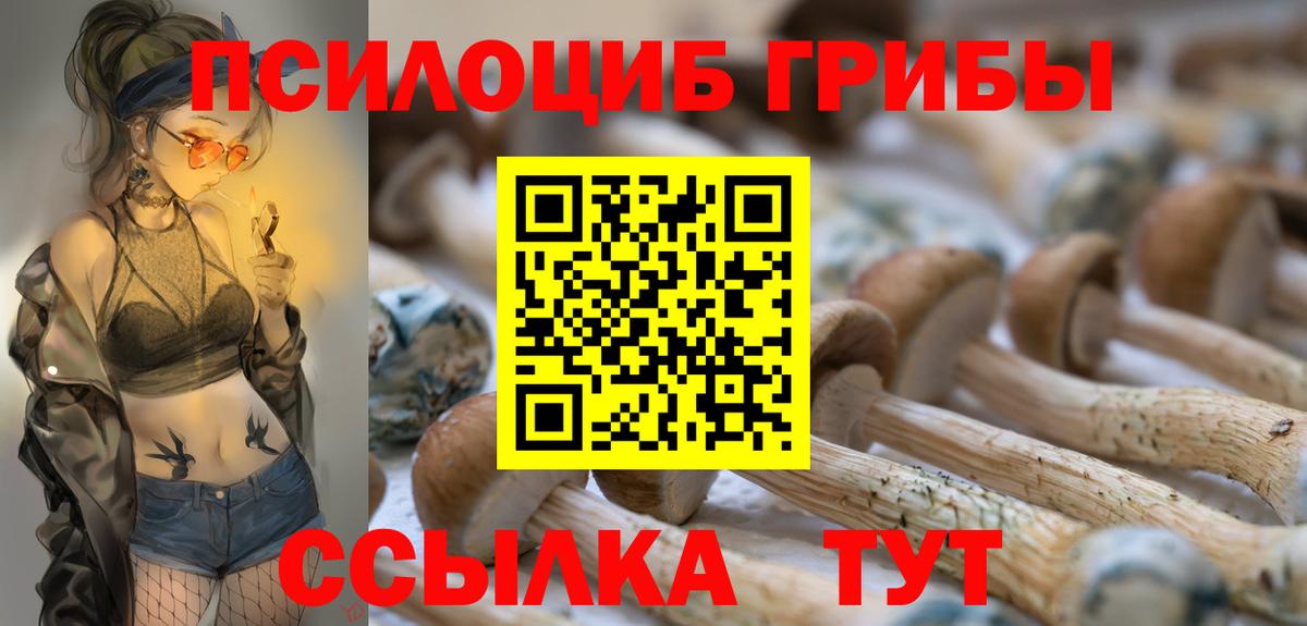 Псилоцибиновые грибы Psilocybe Гулькевичи